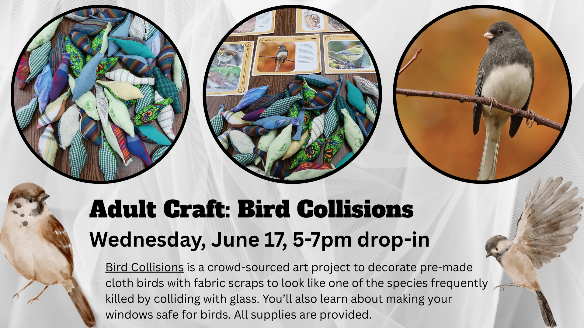Bird Collisions Craft Project